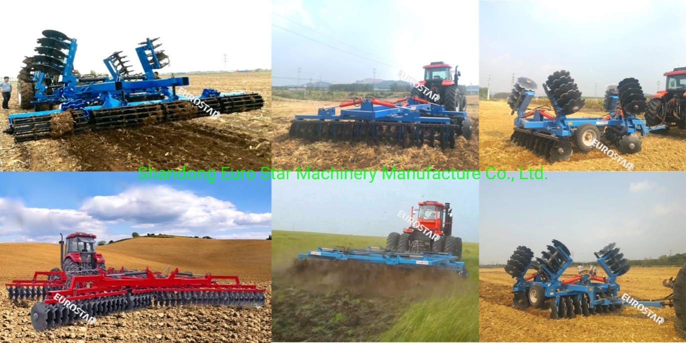 1BZF series hydraulic folding heavy duty disc harrow pictures show 1BZF series hydraulic folding heavy duty disc harrow pictures show