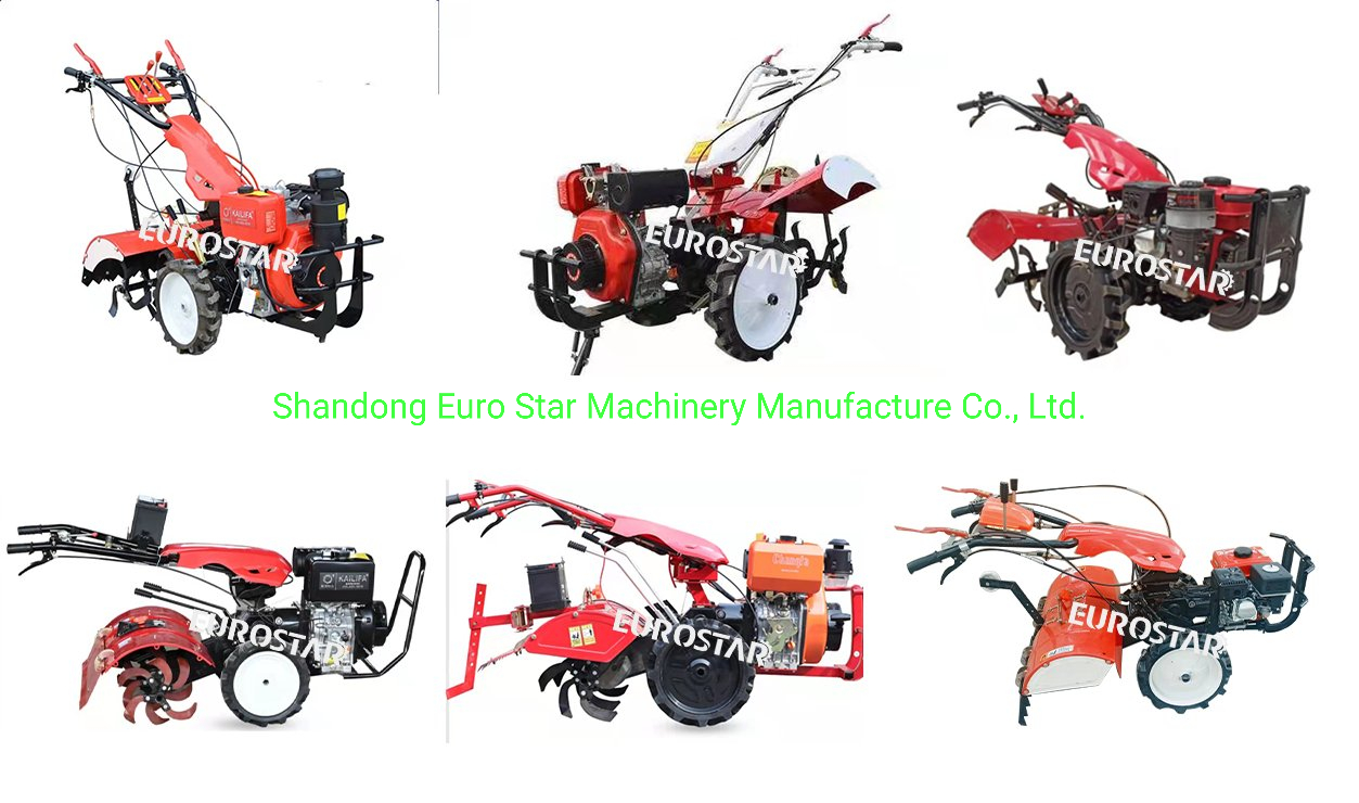 GW series rear tine tiller (gear) display (1)