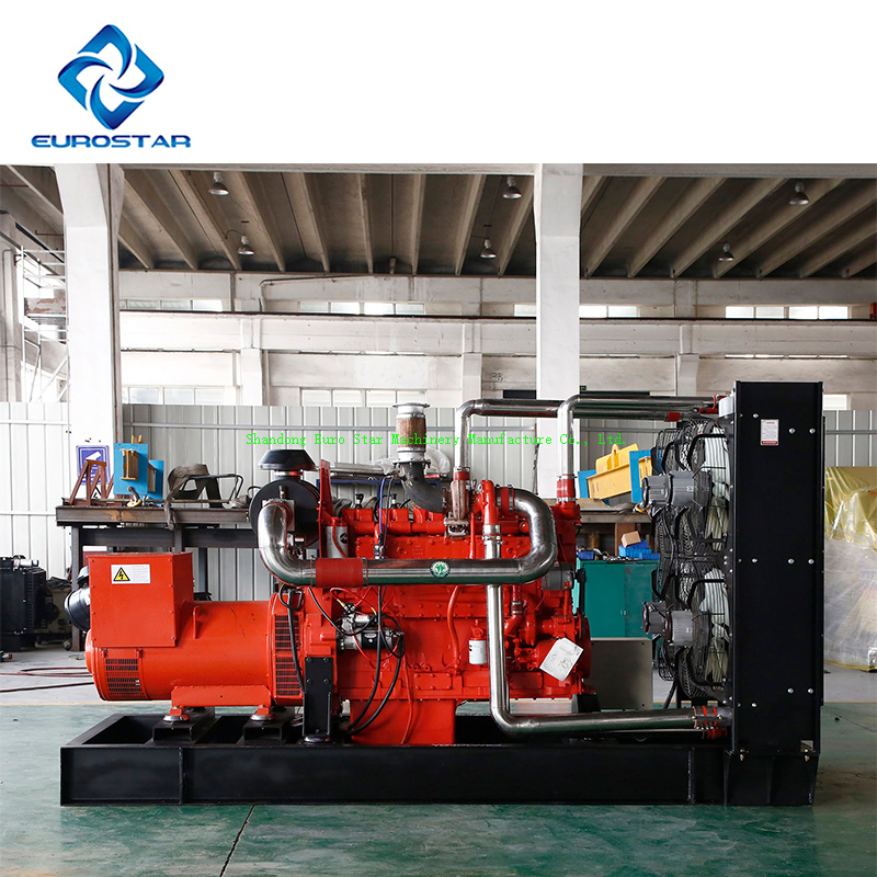 250kw Big Size Portable Silent natural gas Generator