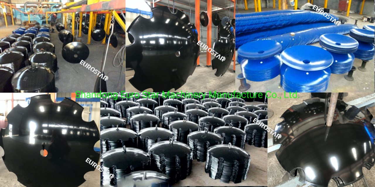 Disc blade picture display3