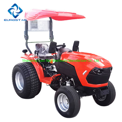 Chinese Compact Tractor with E-MARK and Coc