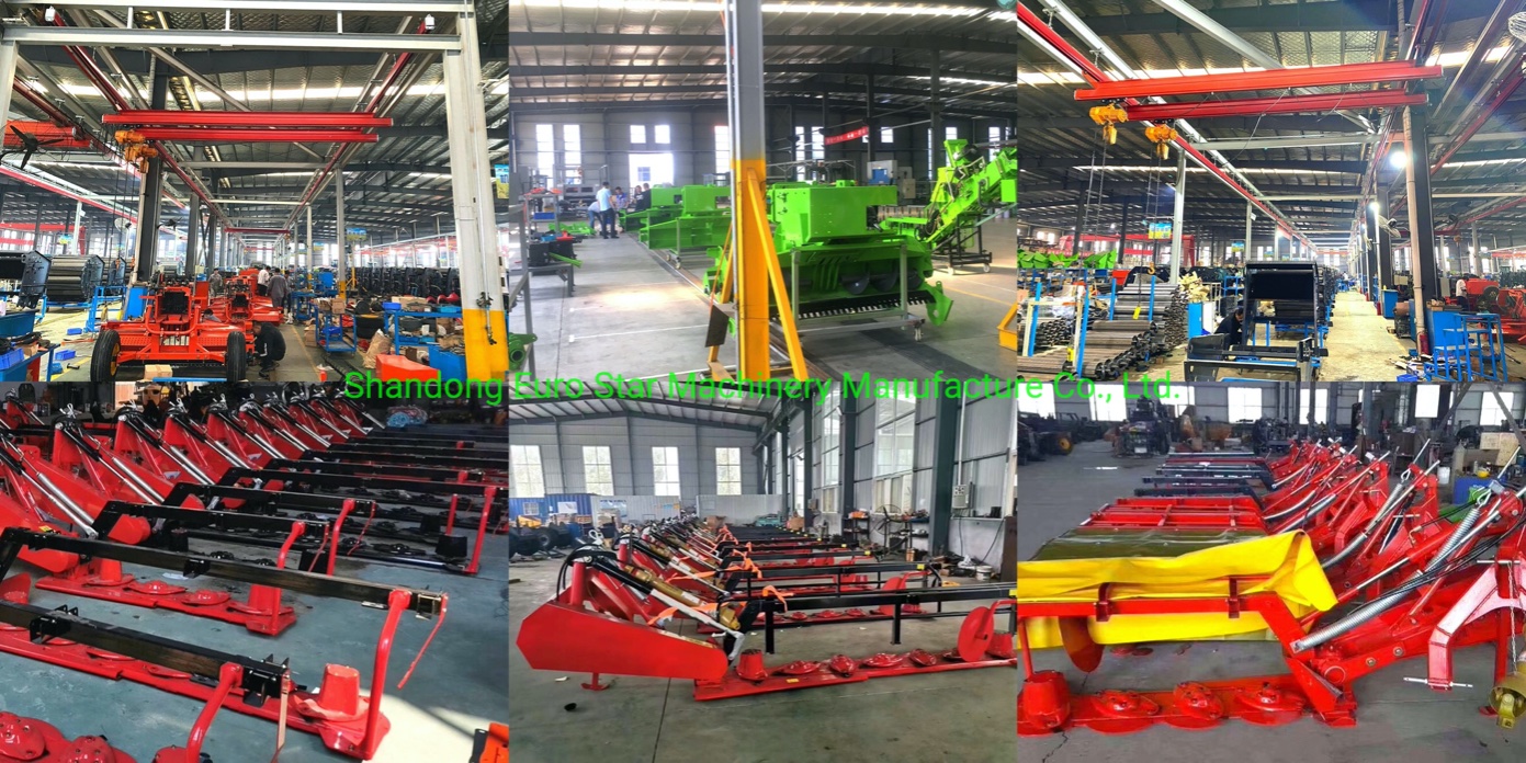 DM series&nbsp;Disc drum Lawn&nbsp;mower production link