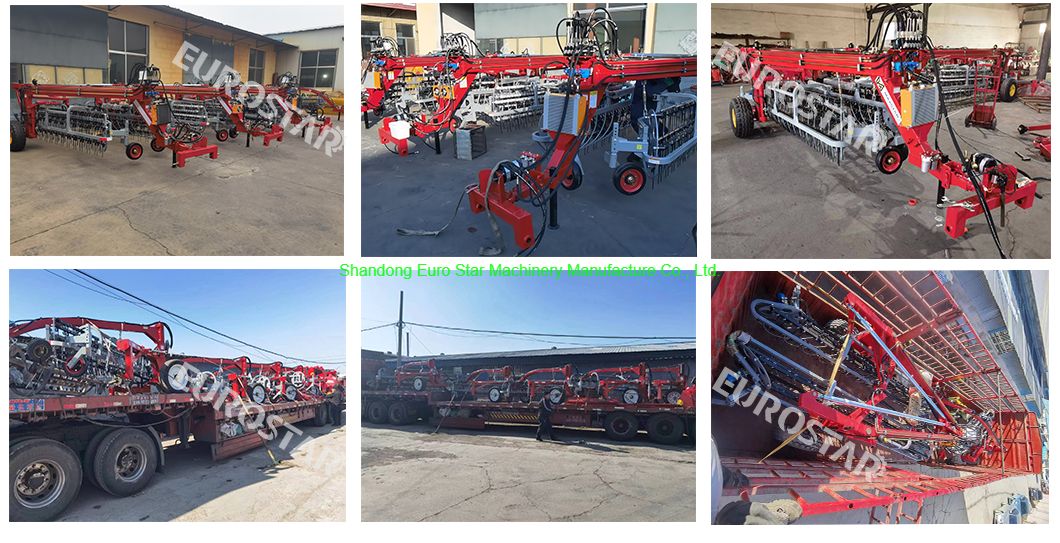 9LG series drum rake-work shop