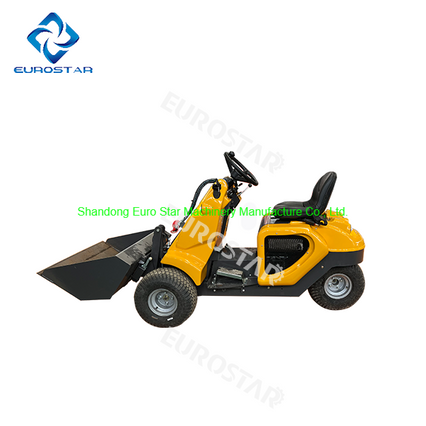 EPA 4 Euro V Gasoline Mini Loader