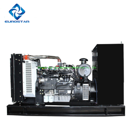200kw Big Size Portable Silent natural gas Generator