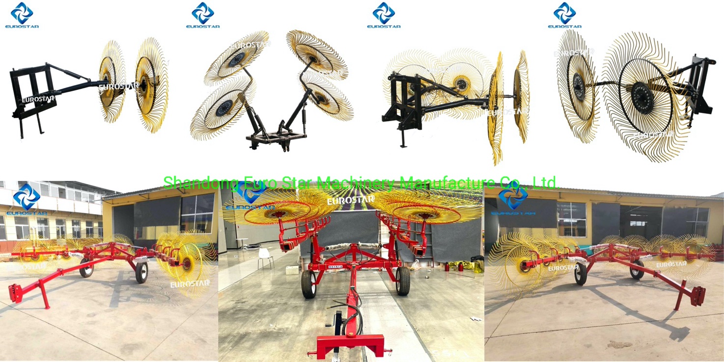 9LZ Series Disc Hay Rake1