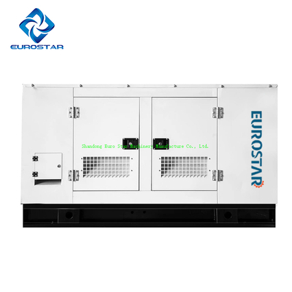 Easy Power Diesel Generator