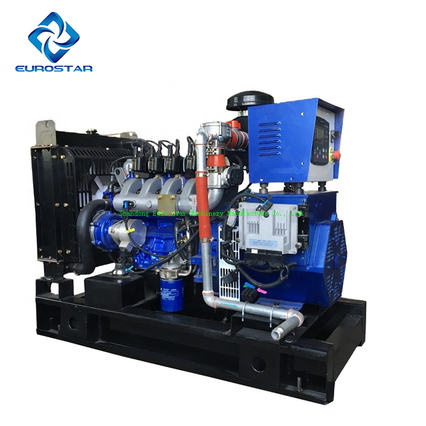 mini natural gas generator