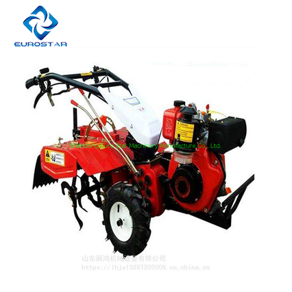 ES680-D1 Rear Tine Tiller with Belt