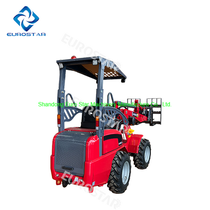 EPA 4 Euro V diesel Mini Loader