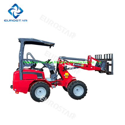 EPA4 & EURO V Diesel Loader