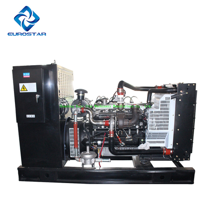 200kw Big Size Portable Silent natural gas Generator
