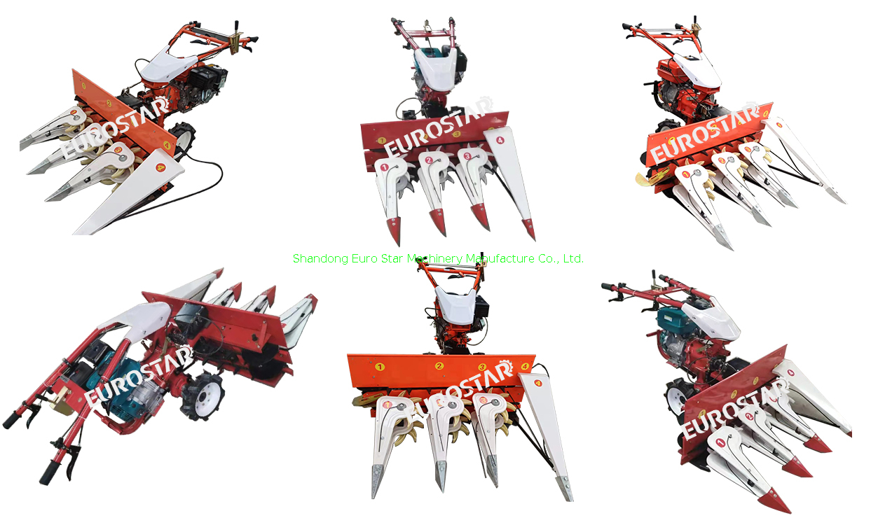 Walking Small Cutter Windrower Swather display